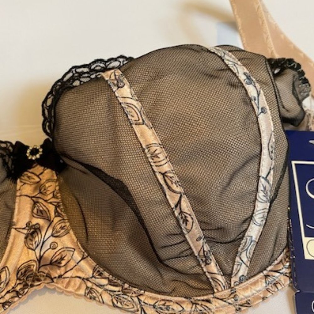 Underwire Balconette Sheer Mesh Bra